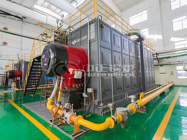 ZOZEN gas-fired boilers for Tsaker Chemical