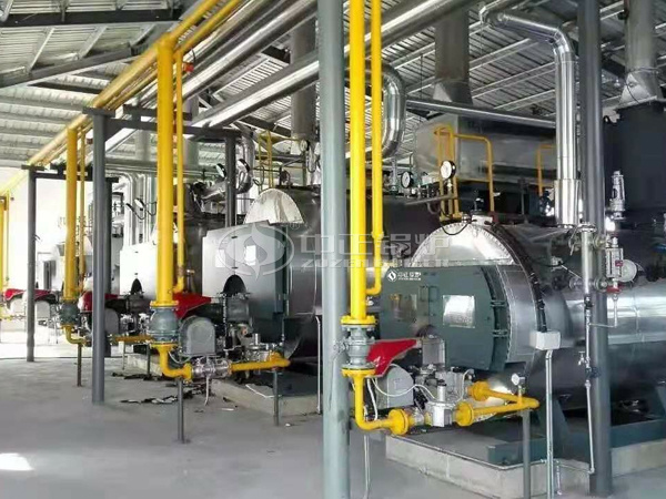 ZOZEN WNS series gas-fired boilers for Shanghai Flower Port