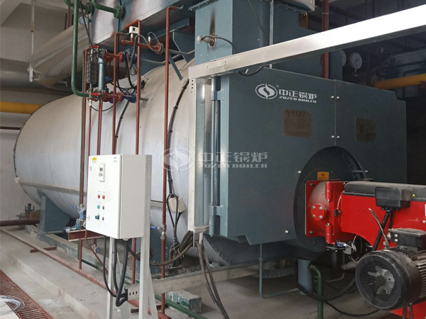 ZOZEN WNS series low NOx boiler for Lingkong Biomedical Park