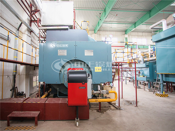 ZOZEN WNS gas-fired steam boiler for No.3533 Printing Dyeing and Clothing Co., Ltd.