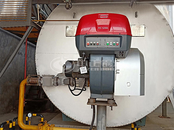 ZOZEN horizontal thermal fluid heater tor Chongqing Lanjie Guangshun