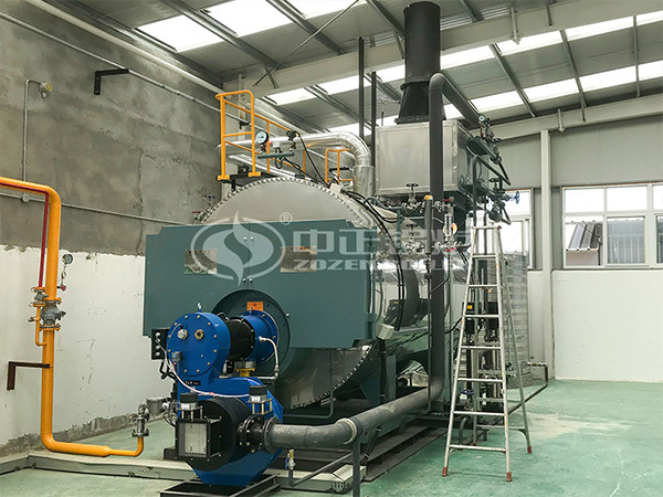 ZOZEN WNS series gas-fired stean boiler for Duoyuan Bichemistry