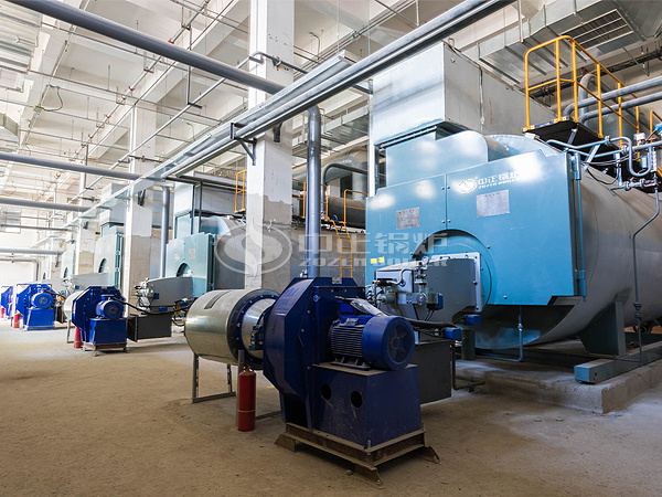 ZOZEN WNS gas-fired steam boilers effectively reduce operating costs for hospitals