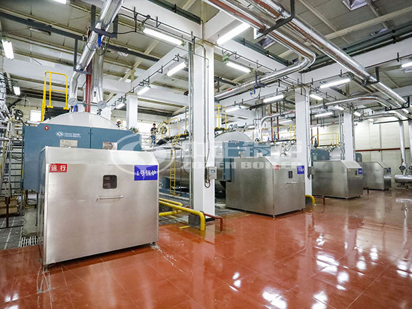 ZOZEN WNS series gas-fired boilers for West China Hospital of Sichuan University