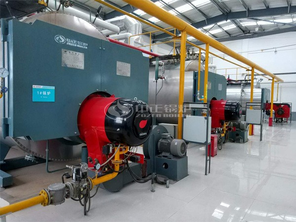 ZOZEN WNS series gas-fired boilers for Huiyuan Juice