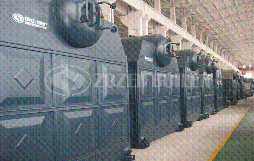 10 tph DZL biomass-fired boiler for heating