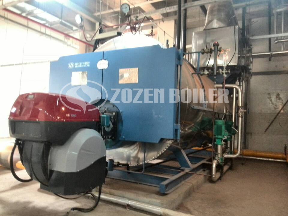 10 tph WNS gas-fired boiler for pharmaceutical factory