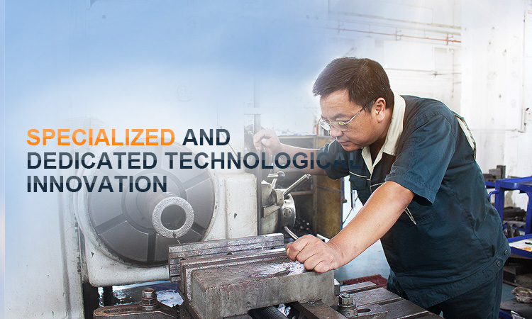 Specialized and Dedicated Technological Innovation